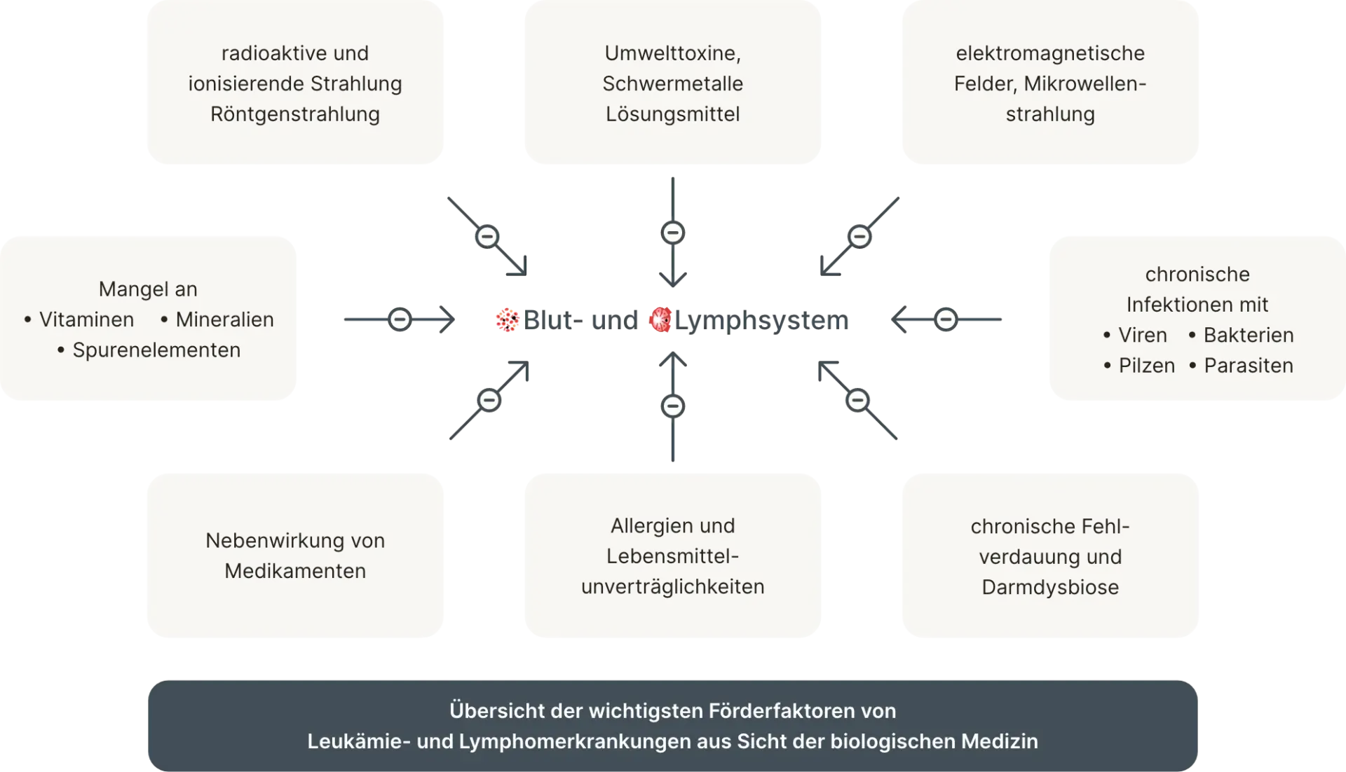 Schaubild des Blut- und Lymphsystems