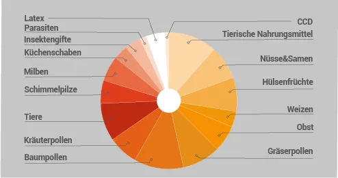 Kuchendiagramm mit verschiedenen Begriffen und farbigen Anteilen